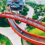 Khung cảnh cầu Koi.