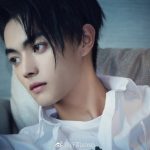 Vẻ đẹp của Hứa Khải.