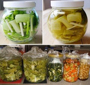 dưa cải