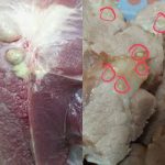 cách lựa thịt heo