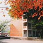 Trường Đại học Quốc gia Hà Nội