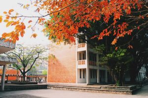 Trường Đại học Quốc gia Hà Nội