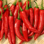 ớt